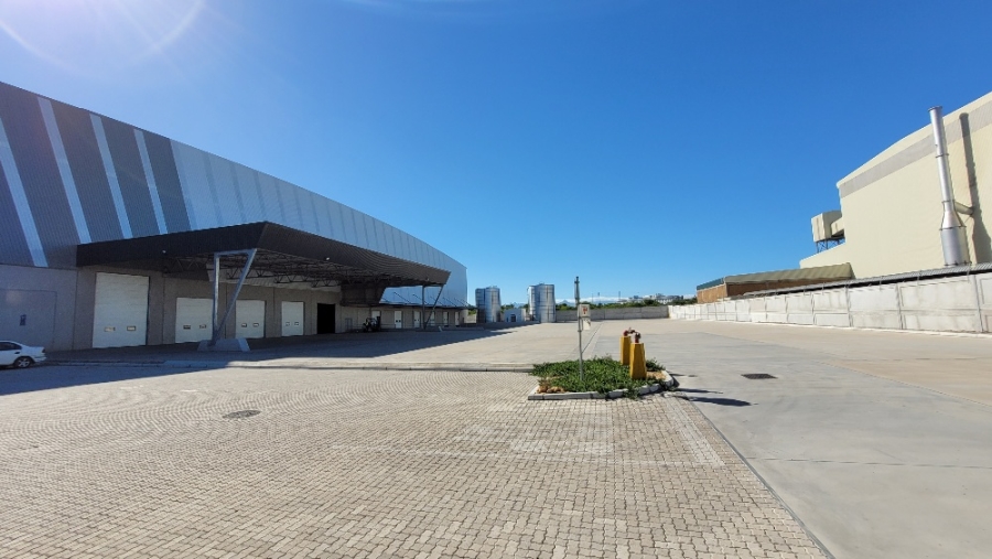 To Let commercial Property for Rent in Parow Industrial Western Cape